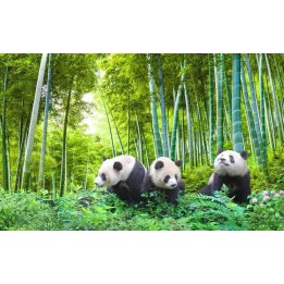 papier peint photo panoramique tapisserie paysage asiatique les pandas dans la foret de bambou