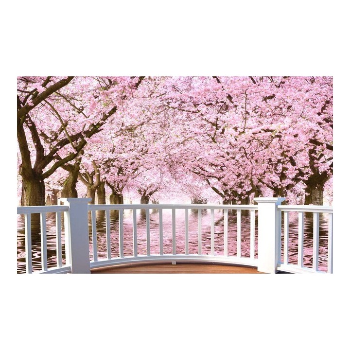 extension d'espace papier peint photo trompe l'œil effet 3D paysage romantique avec les cerisiers