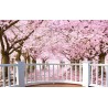 Papier peint photo trompe l'œil effet 3D - Paysage romantique avec les cerisiers - Extension d'espace