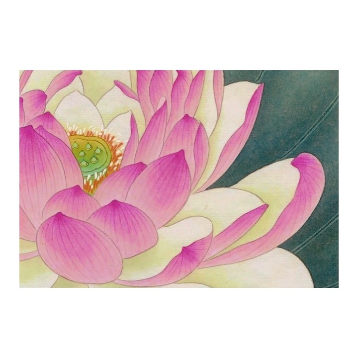 papier peint chinois chinese wallpaper - Les lotus les roses de chine et les oiseaux