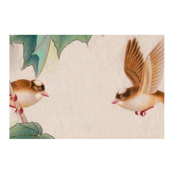 papier peint chinois chinese wallpaper - Les lotus les roses de chine et les oiseaux