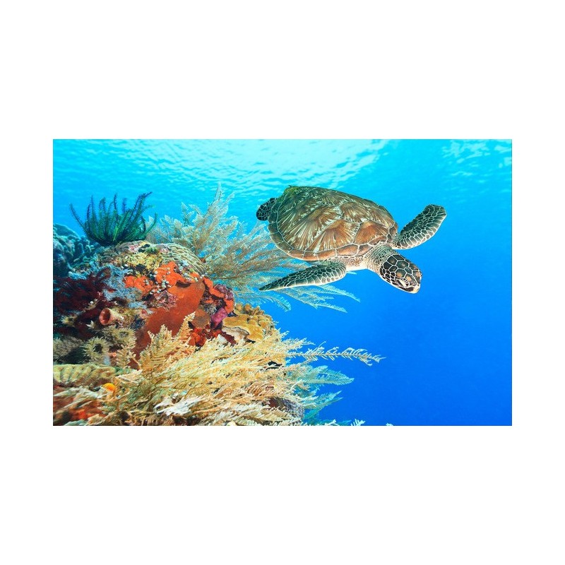 Revêtement de sol océan - La tortue de la mer