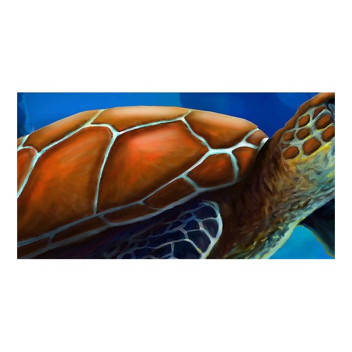 papier peint photo fond marin chambre d'enfant la tortue géante
