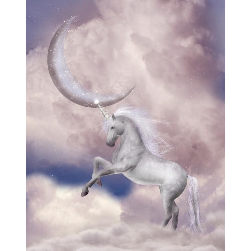 Paysage fantaisie - Animal légendaire - Licorne dans le ciel