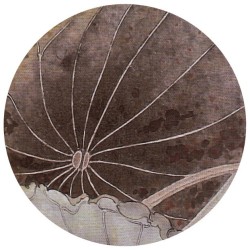 Peinture asiatique ancienne - Les lotus roses et les canards