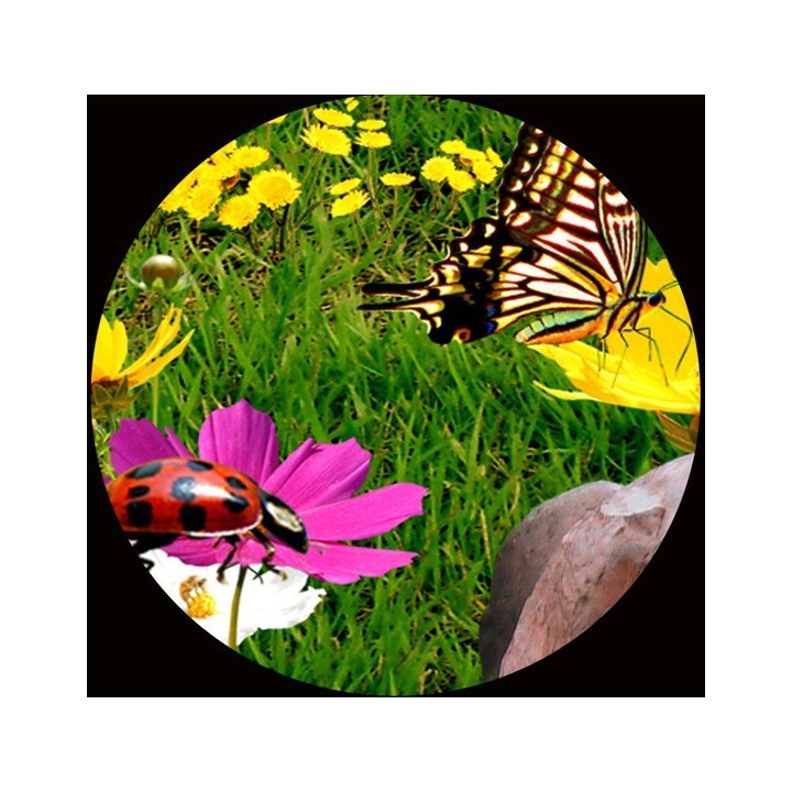 décoration murale personnalisé poster trompe l’œil 3d Les animaux dans le jardin fleuri