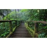 Papier peint photo paysage zen effet 3D - Pont en bois dans la forêt
