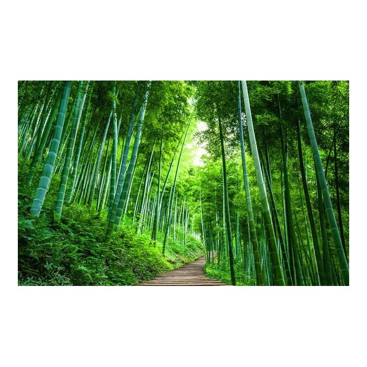 tapisserie zen papier peint photo paysage personnalisé effet 3d chemin dans la foret de bambou