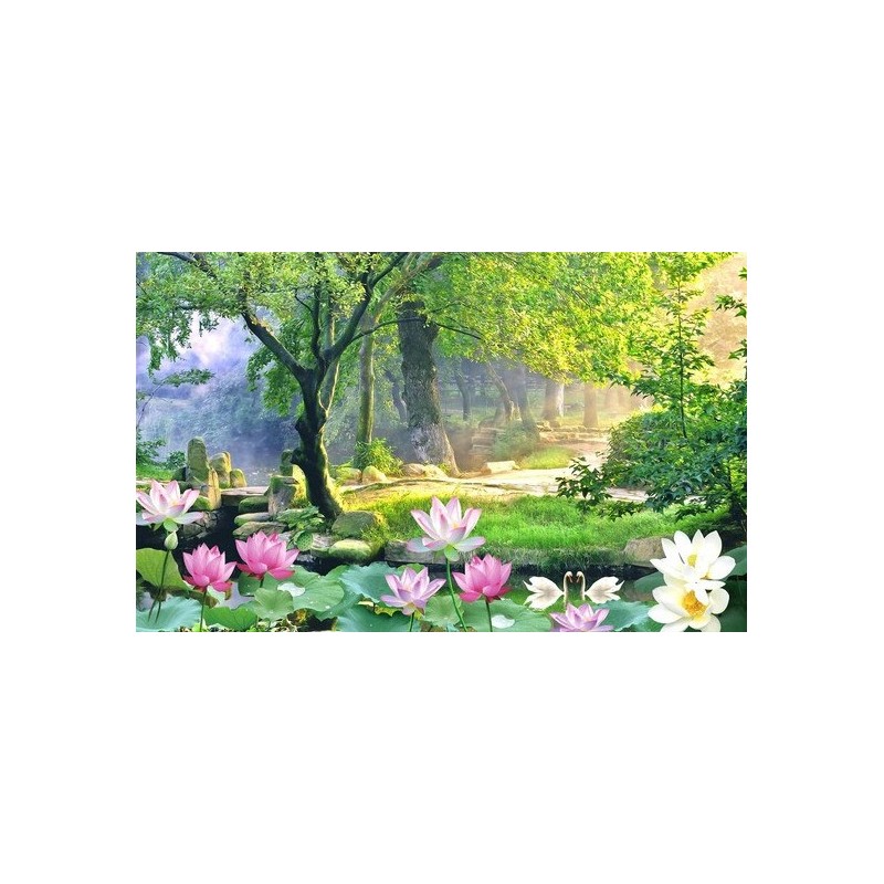 Papier peint photo paysage - Forêt à l'aube avec les lotus