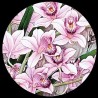 Papier peint asiatique - Les orchidées sauvages avec les oiseaux en printemps