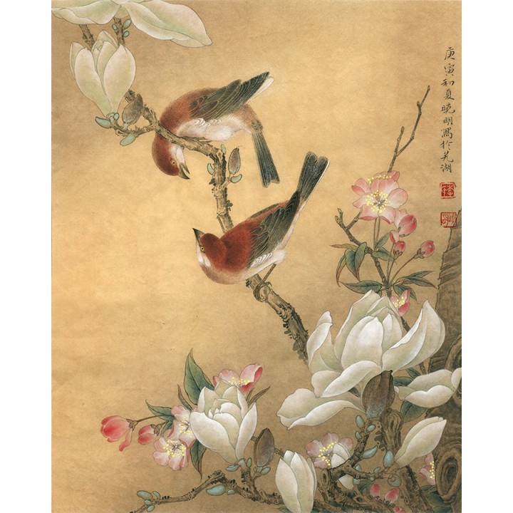 peinture à l'encre de chine aspect ancien les magnolias le cerisier et les oiseaux