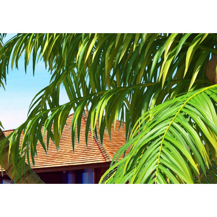 papier peint photo grand panoramique tapisserie paysage mer tropicale maison flottante île verte