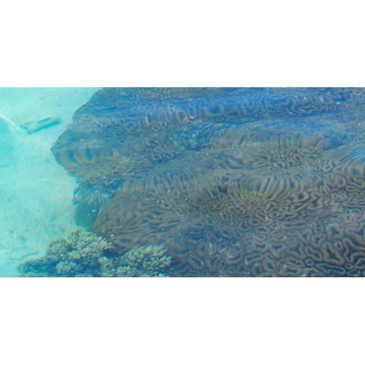 papier peint photo grand panoramique tapisserie paysage mer tropicale maison flottante île verte