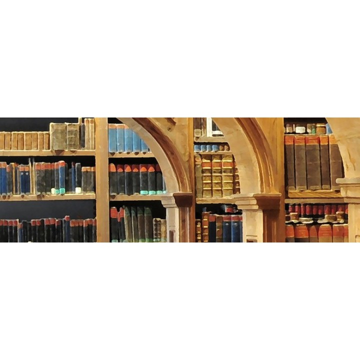 Papier peint photo trompe l'oeil 3D vintage personnalisable aspect ancien bibliothèque