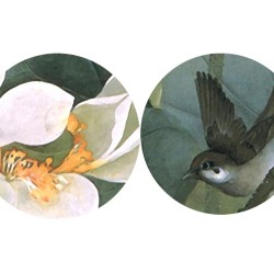 Peinture aquarelle zen - Les lotus et l'oiseau