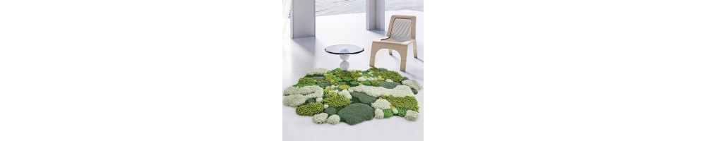 Tapis 3D Mousse Lichen Design Contamporain Velours en Relief