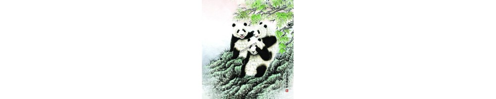 Poster Géant Panda Tapisserie Murale Animaux Noir et Blanc