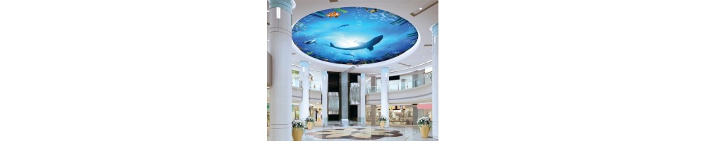 Plafond Tendu Imprimé Lumineux Fond Marin Fresque Dauphin